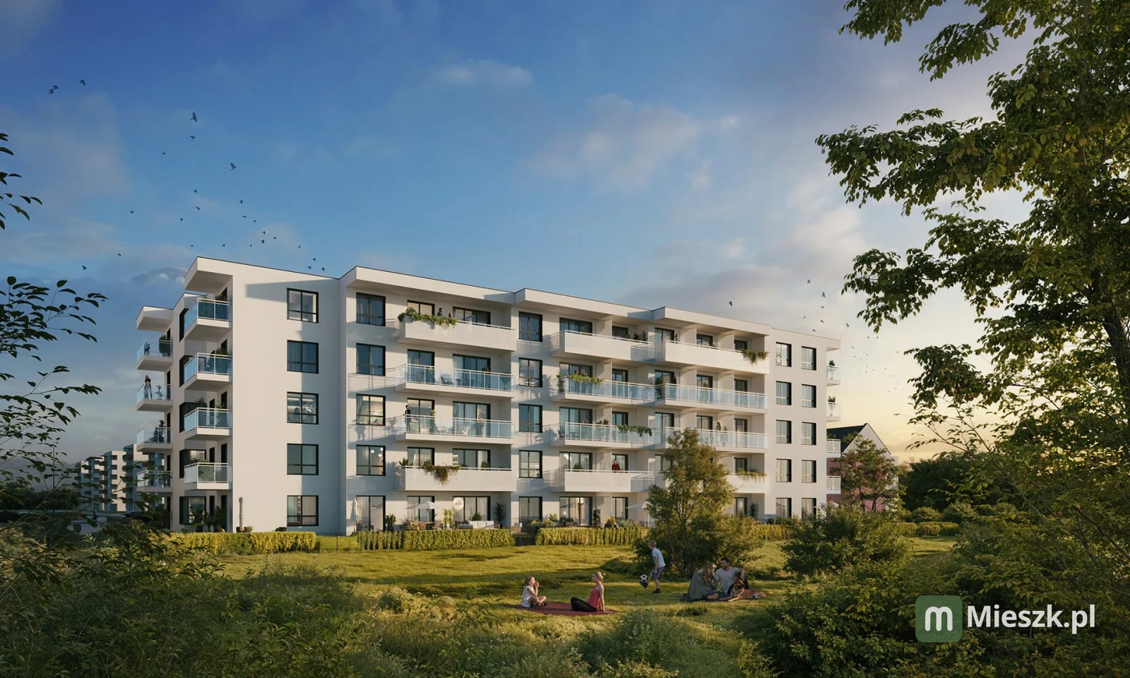 Żabiniec Vita etap 1 — 5