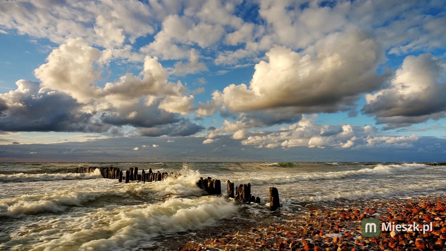 Portside Bałtycka — 10