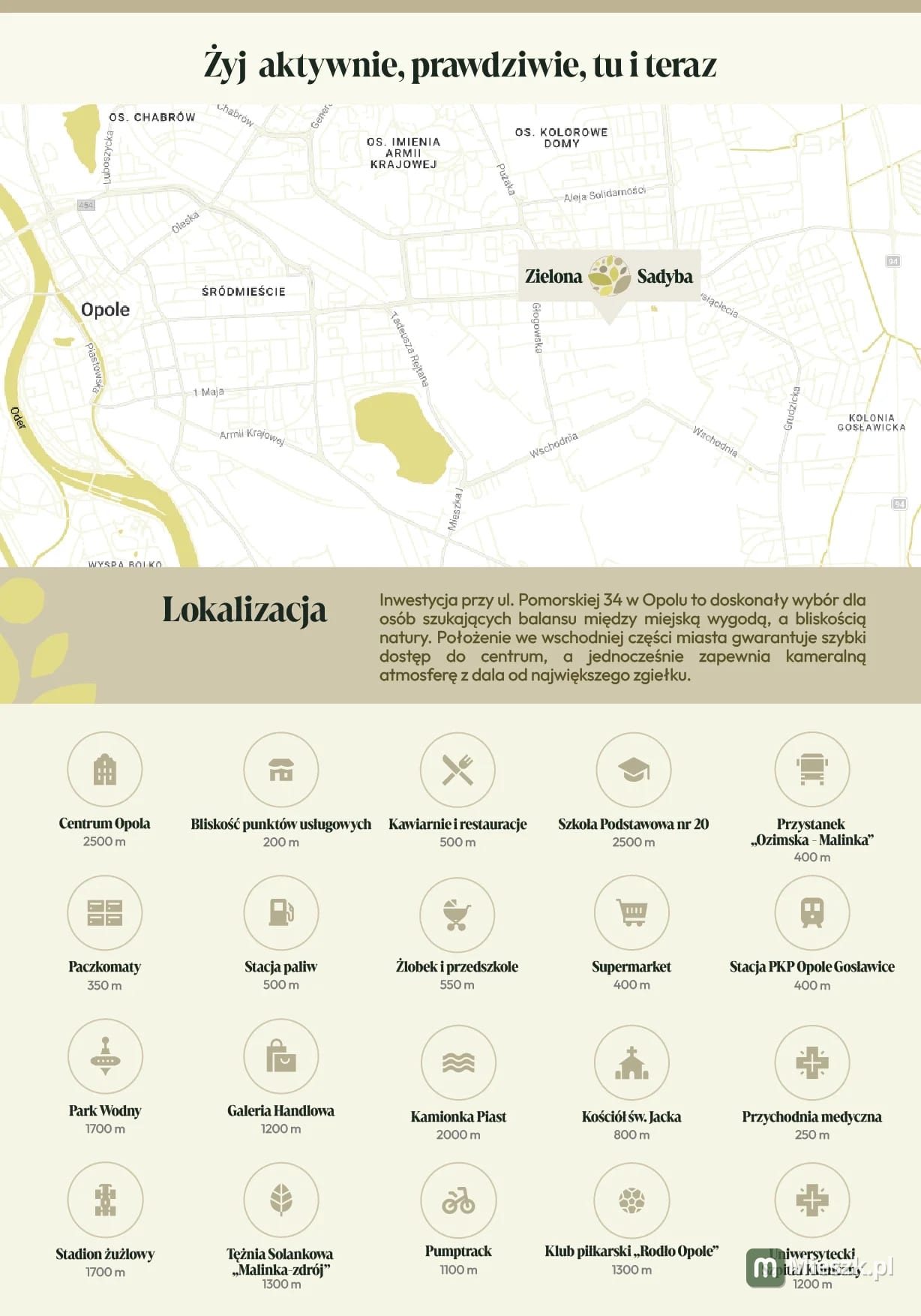 Zielona Sadyba — 6