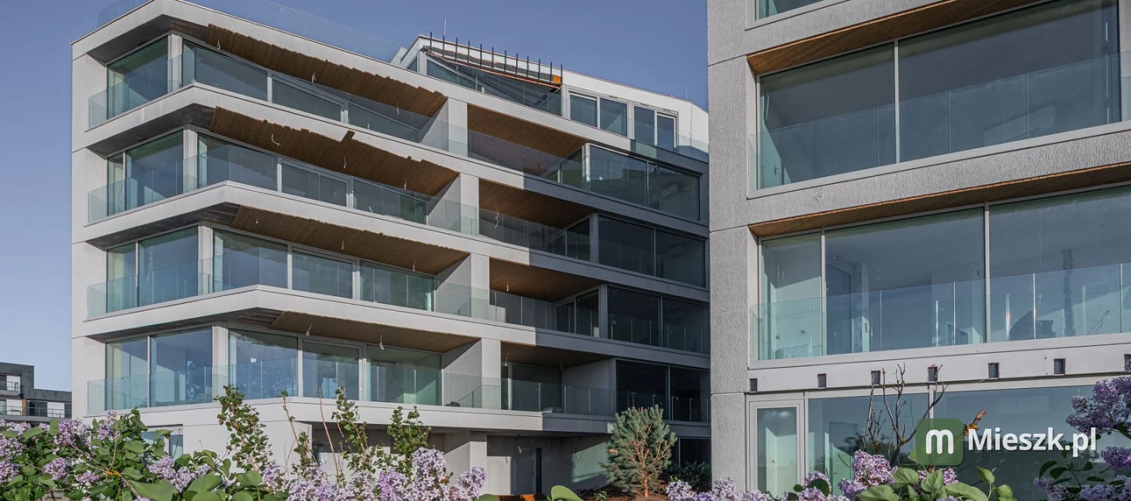 Cisha I — 4