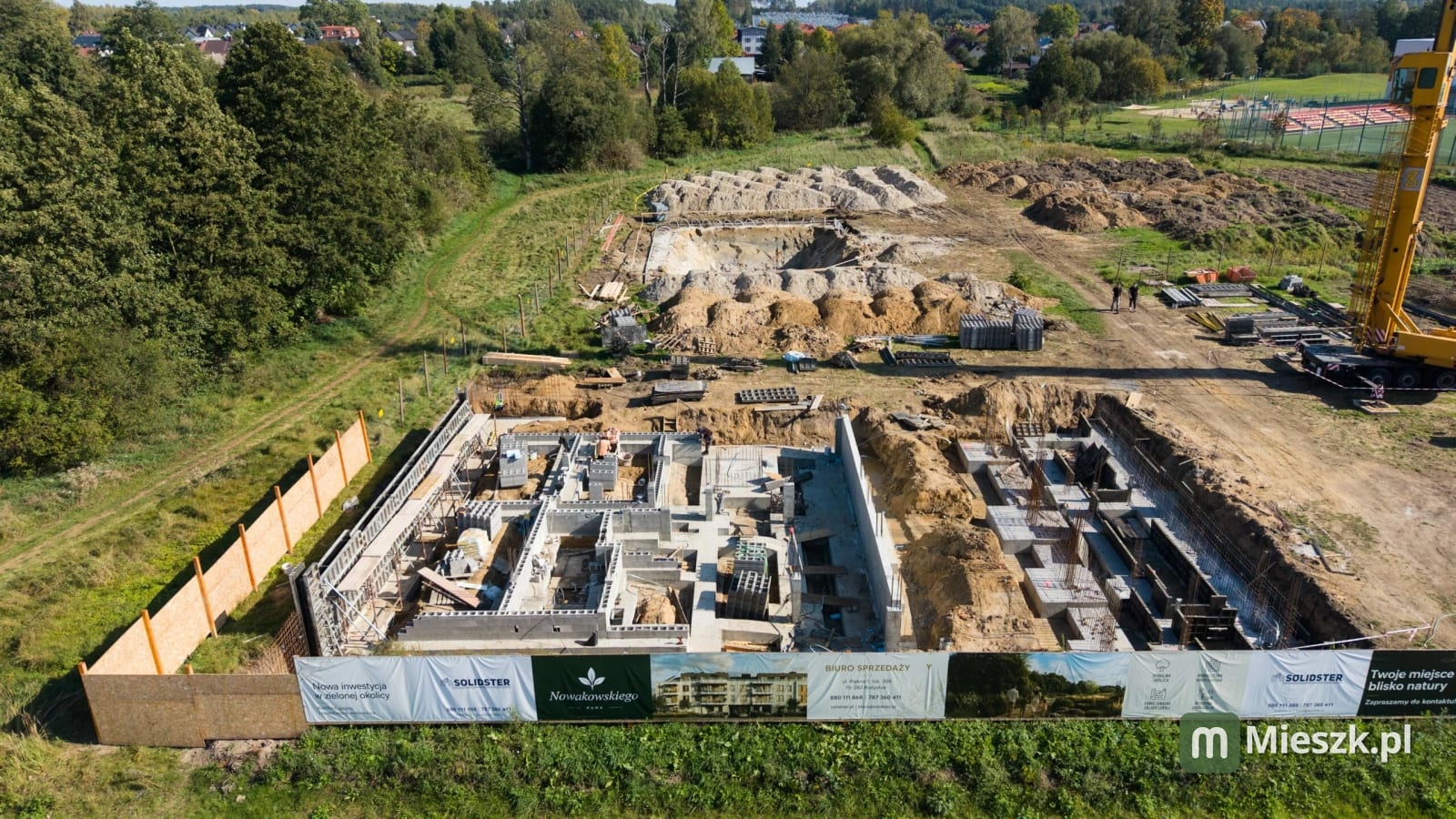 Seweryna Nowakowskiego — 11