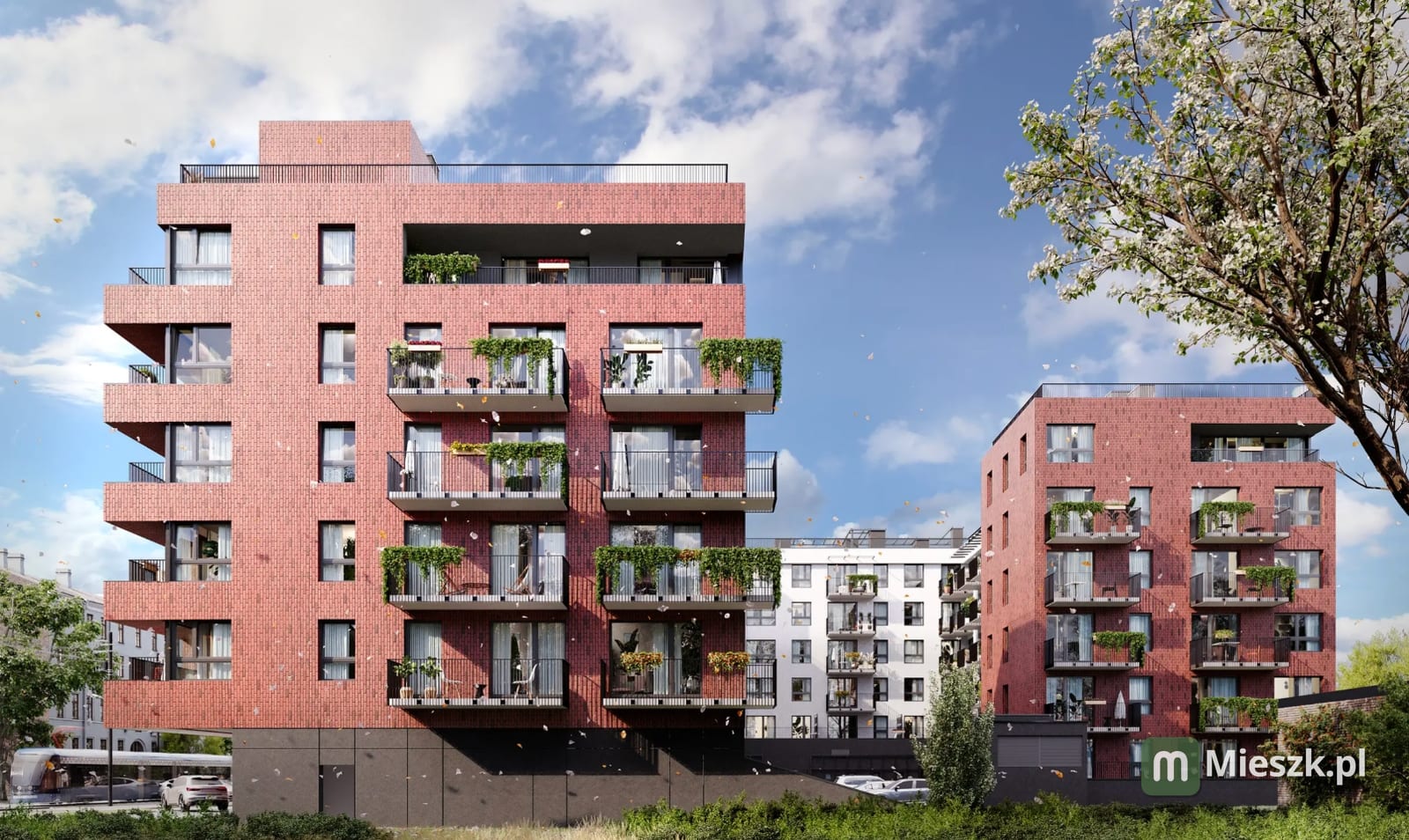 3 maja — 6