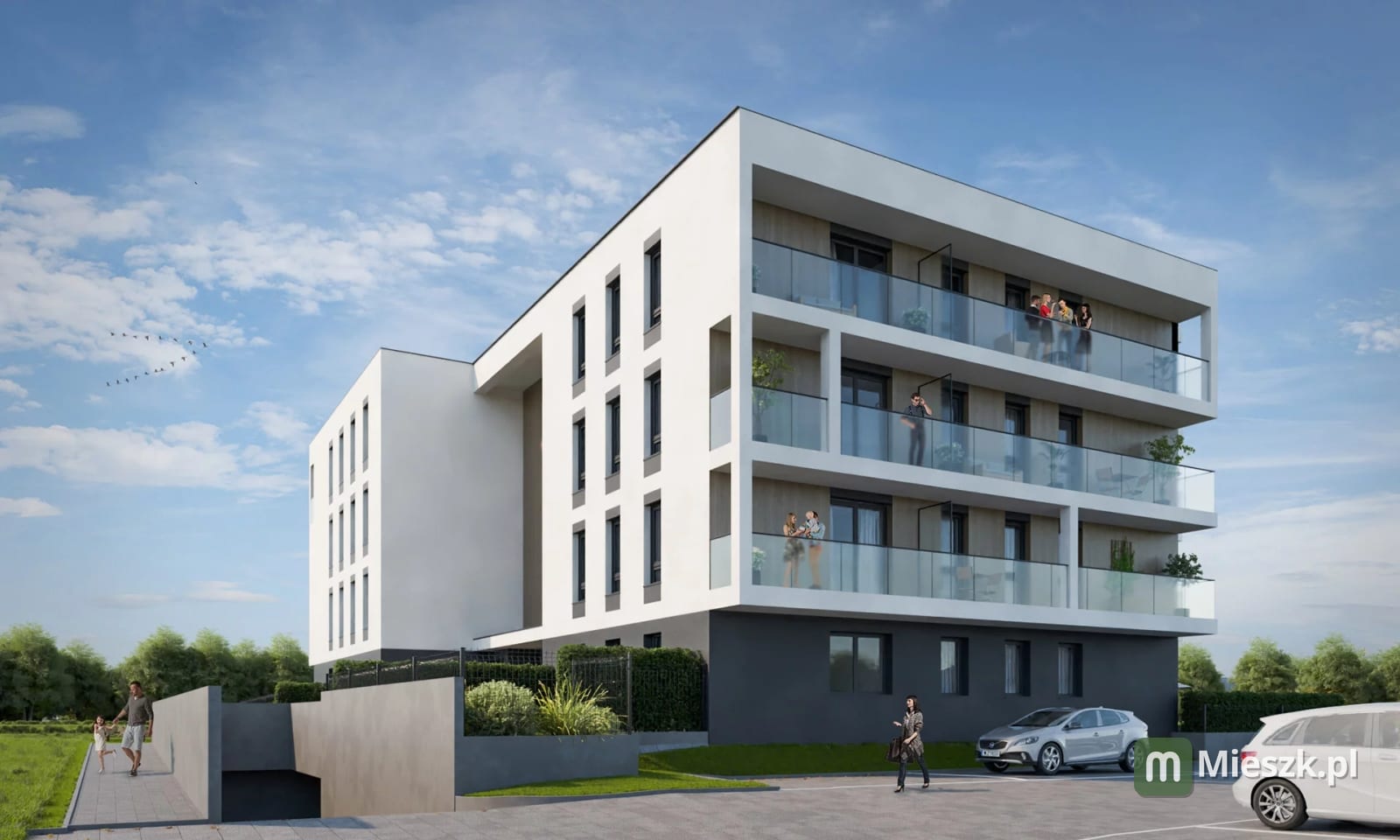 Zielona Turka — 5