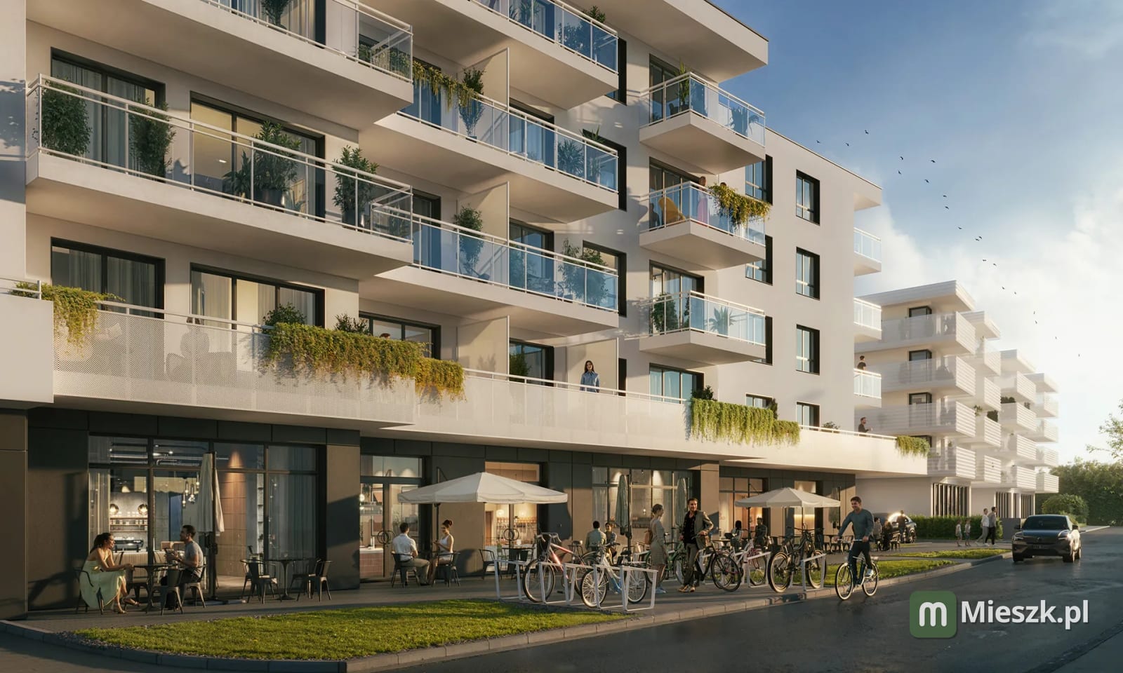 Żabiniec Vita etap 1 — 6