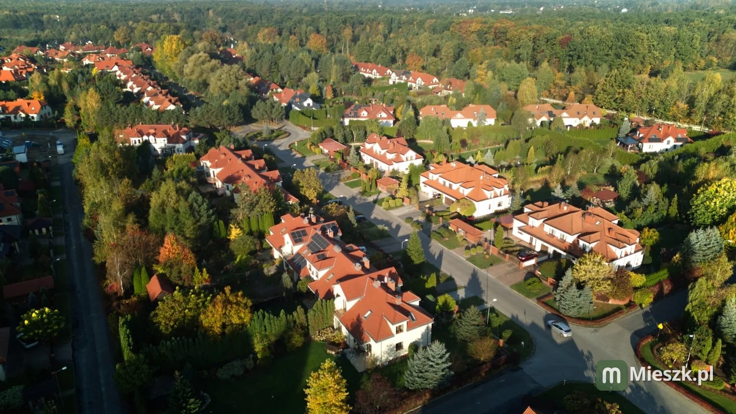 Owoców Leśnych 9/6 — 2