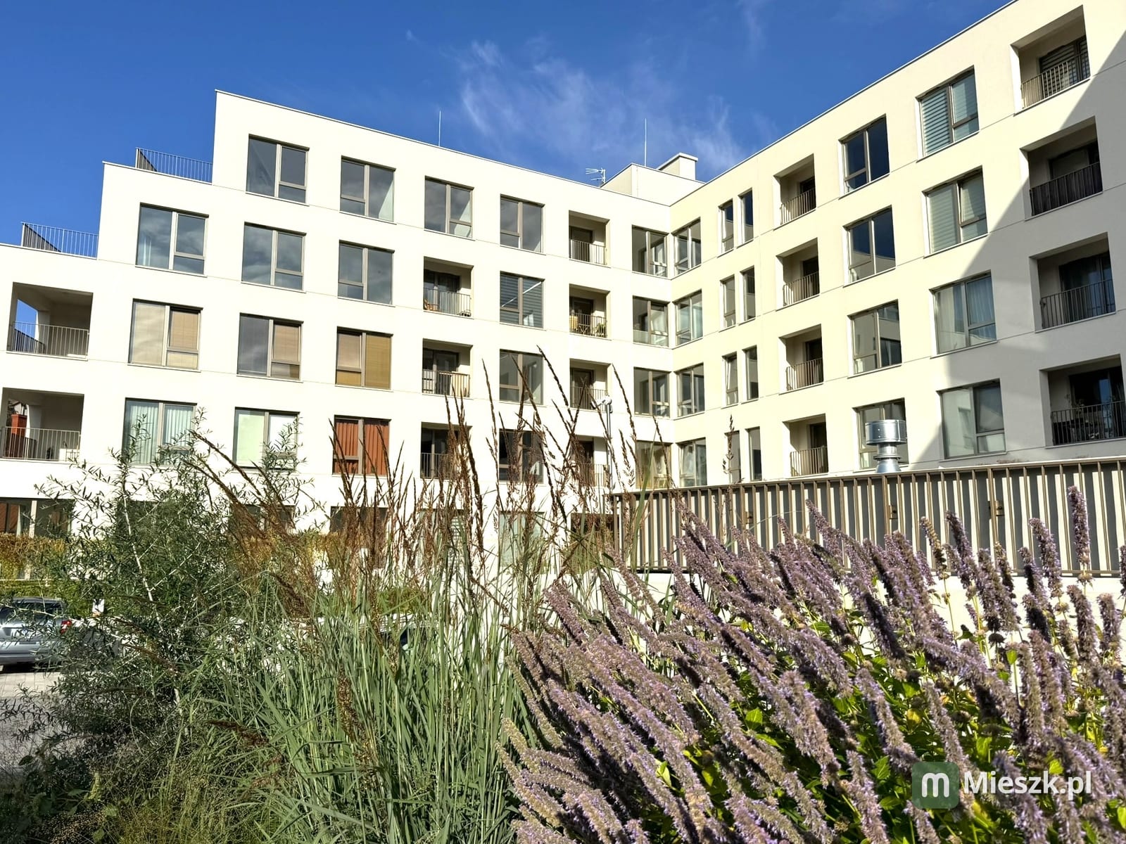 ul. Kosynierów — 9