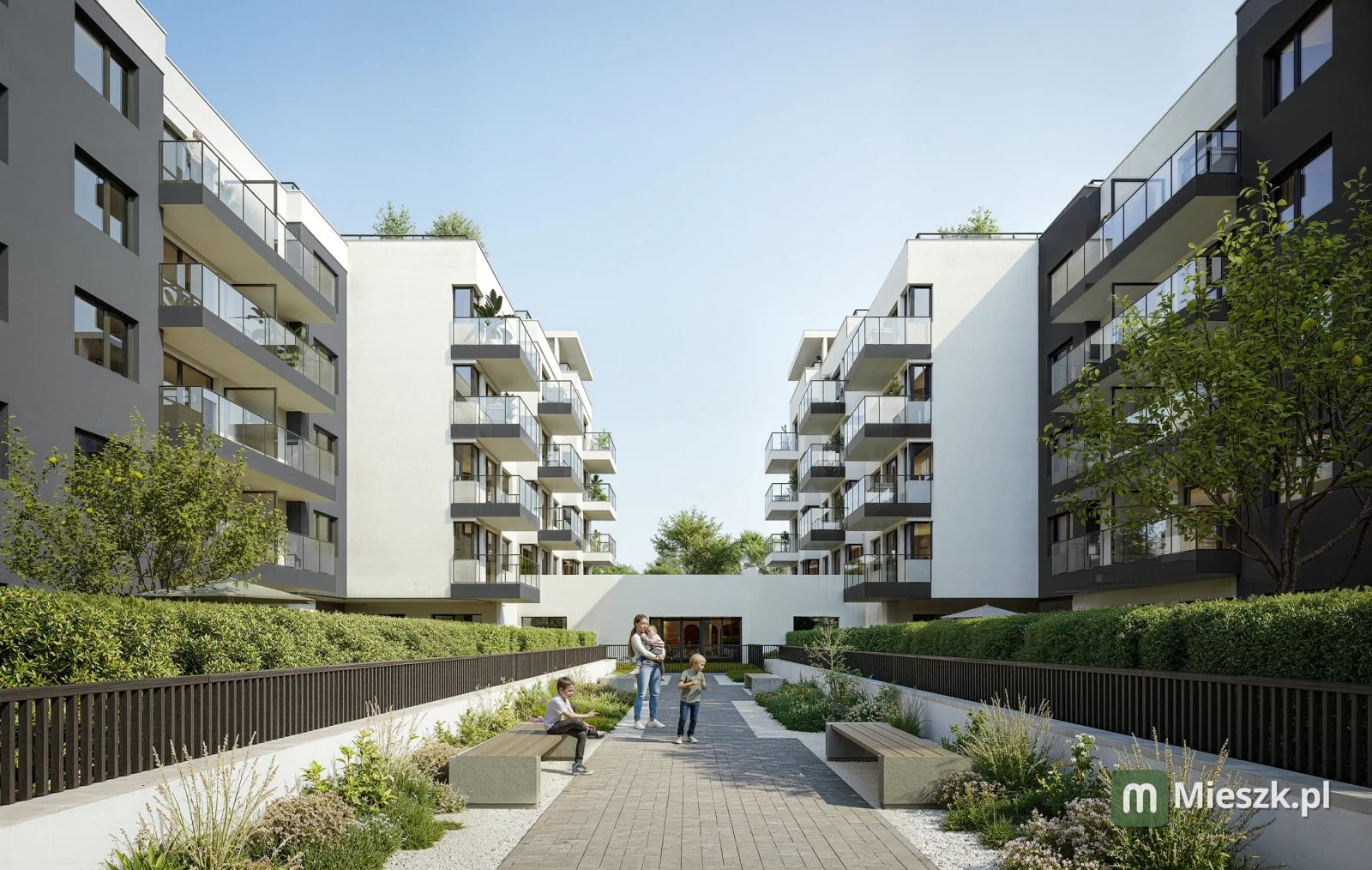 Apartamenty Teligi — 3