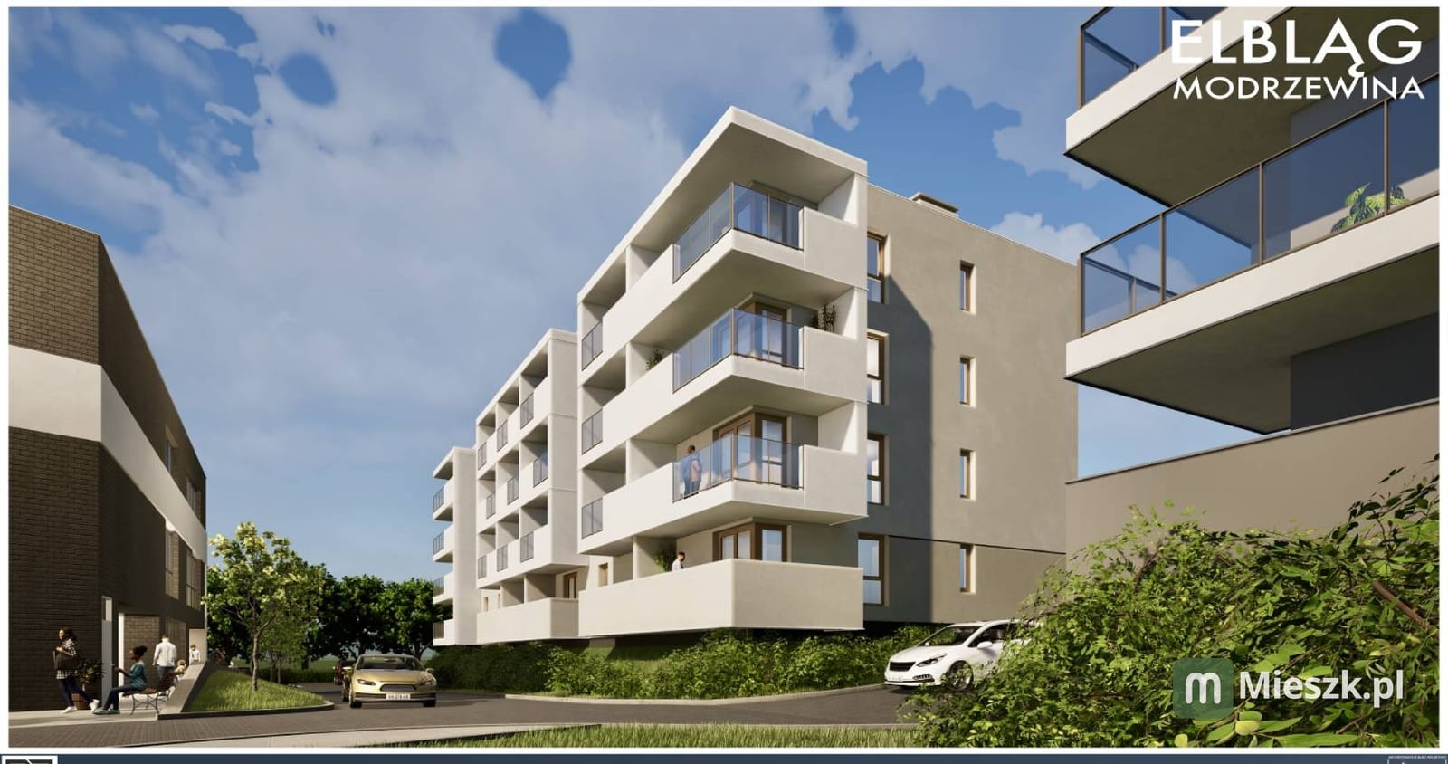 Modrzewina — 5