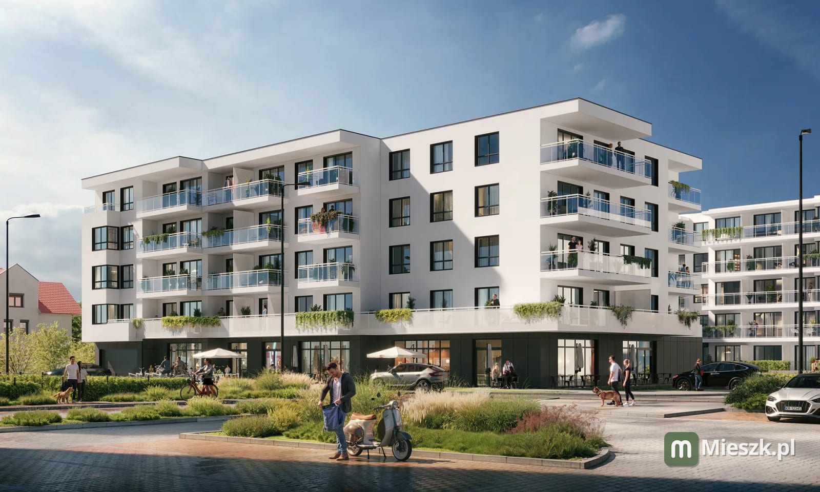 Żabiniec Vita etap 1 — 4