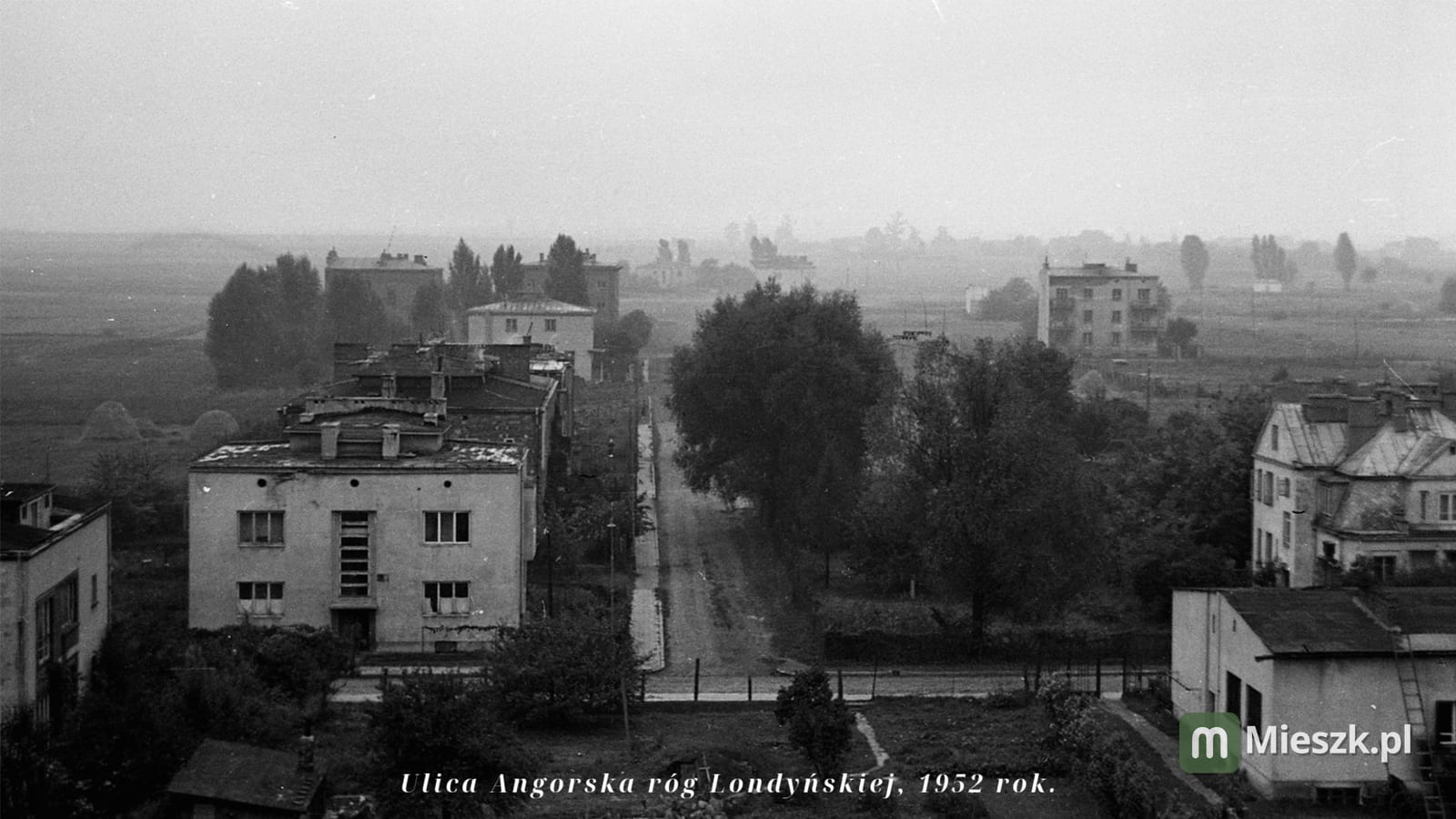 ul. Angorska 13A — 6