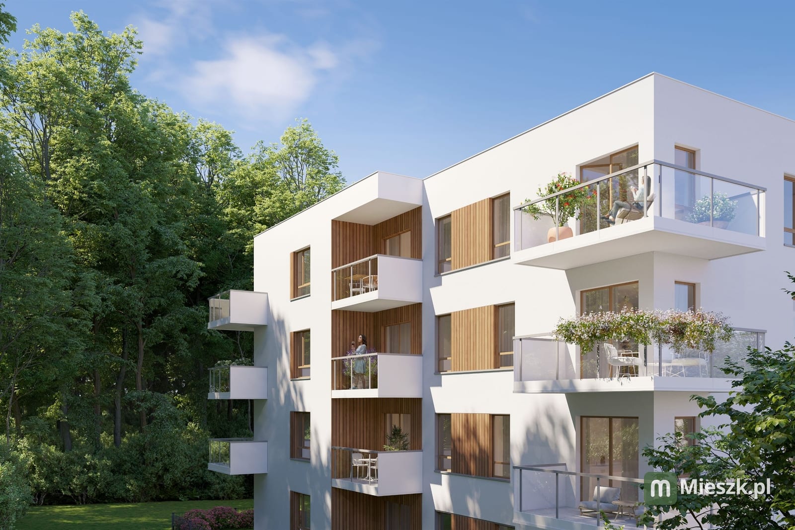 Szumilas — 2