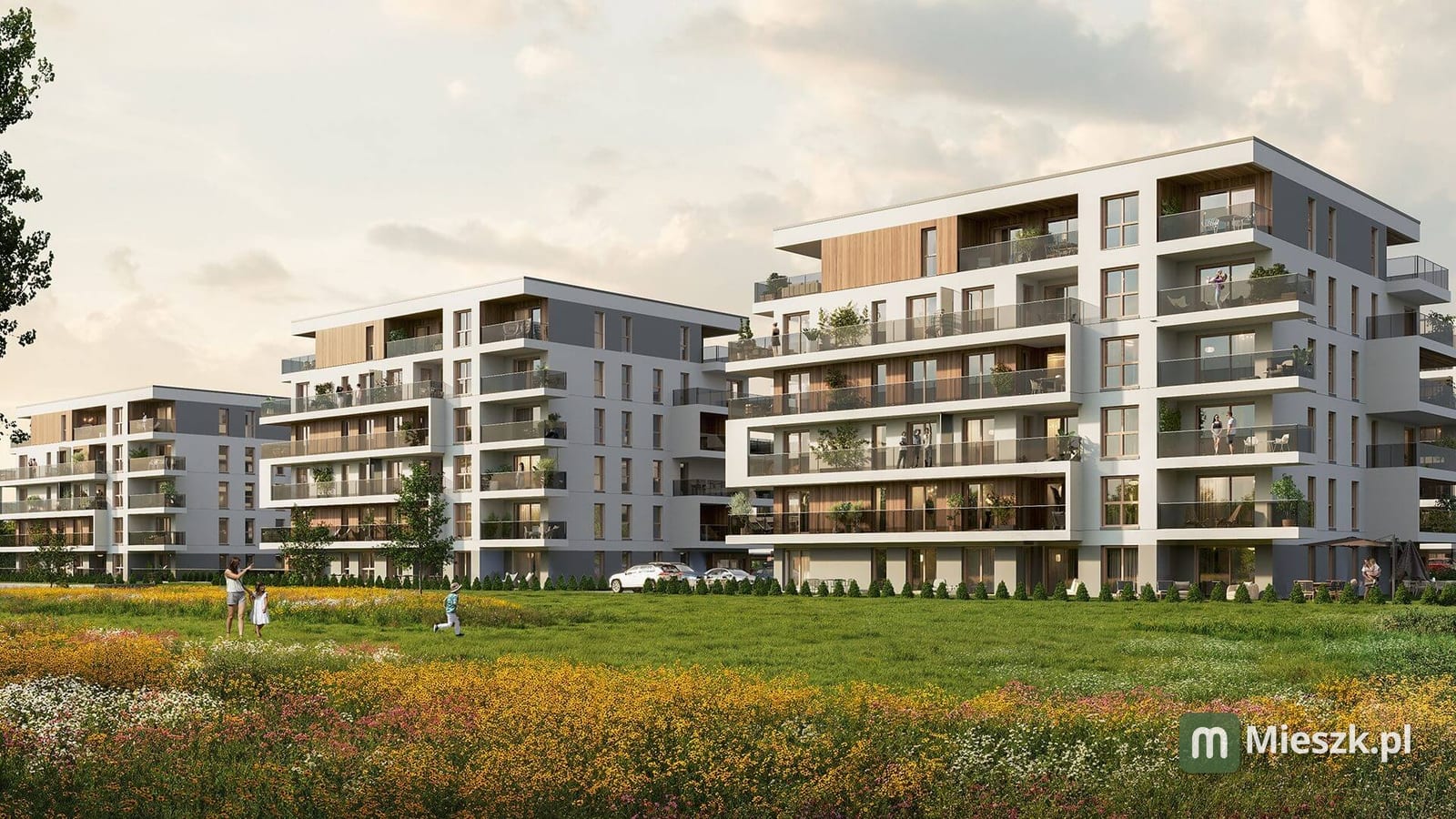 Panorama Bańgów ETAP II — 8