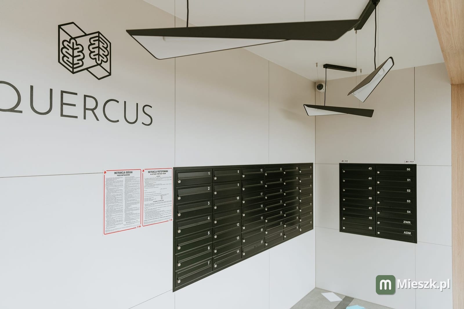 Quercus — 9