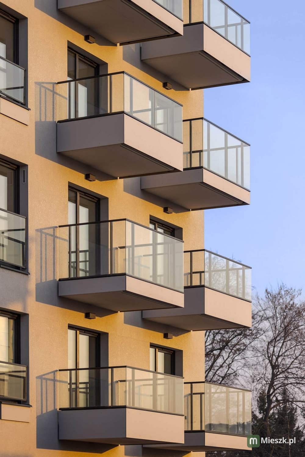 XYZ Place — 5