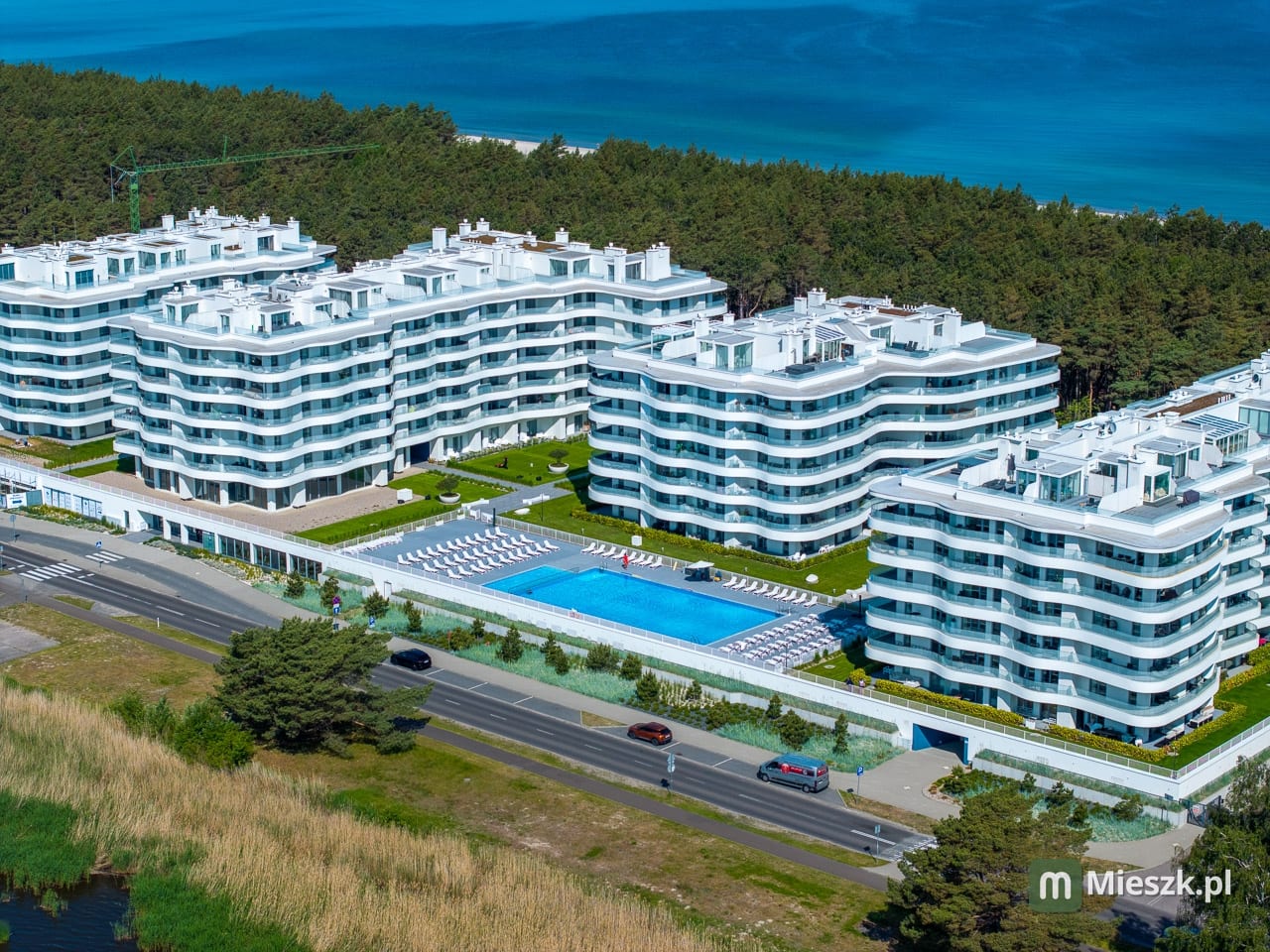 Rogowo Pearl — 11