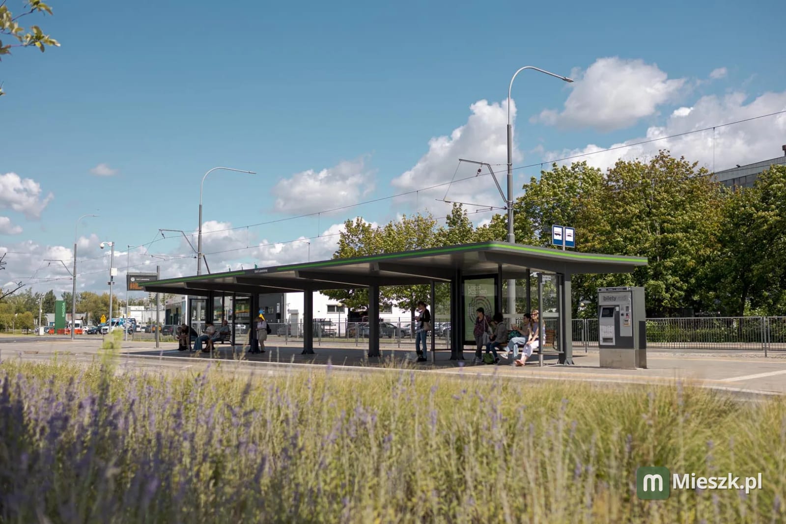 Unii Lubelskiej Vita etap 1 — 11