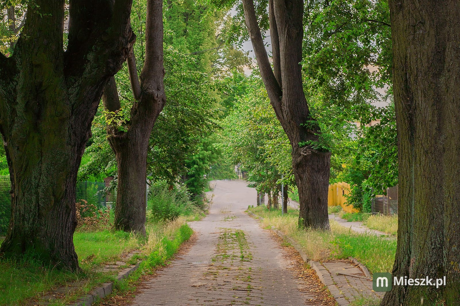 Miodowa 4 — 8