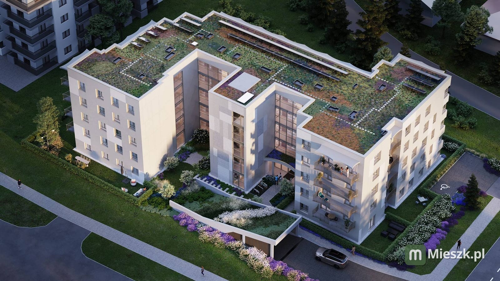 Merite Serena — 2