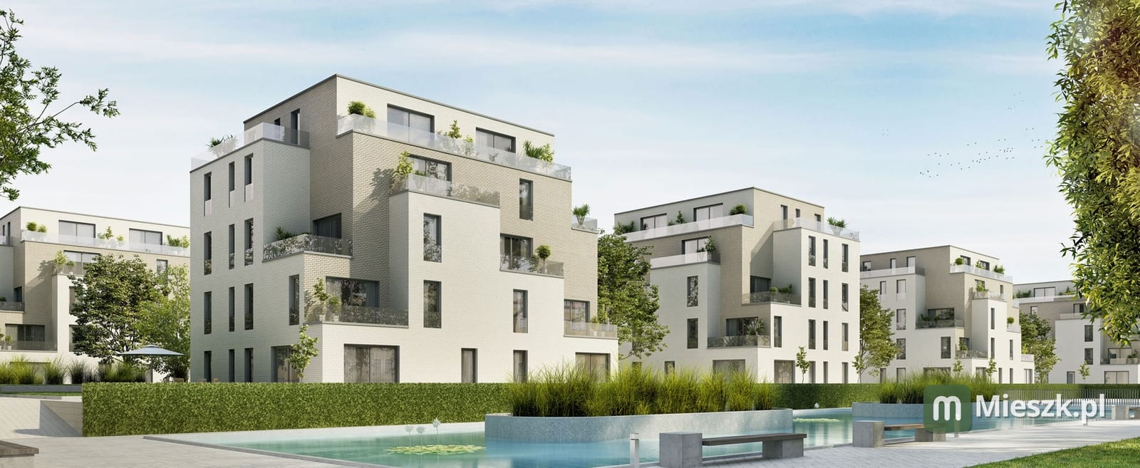 Reneta — 2