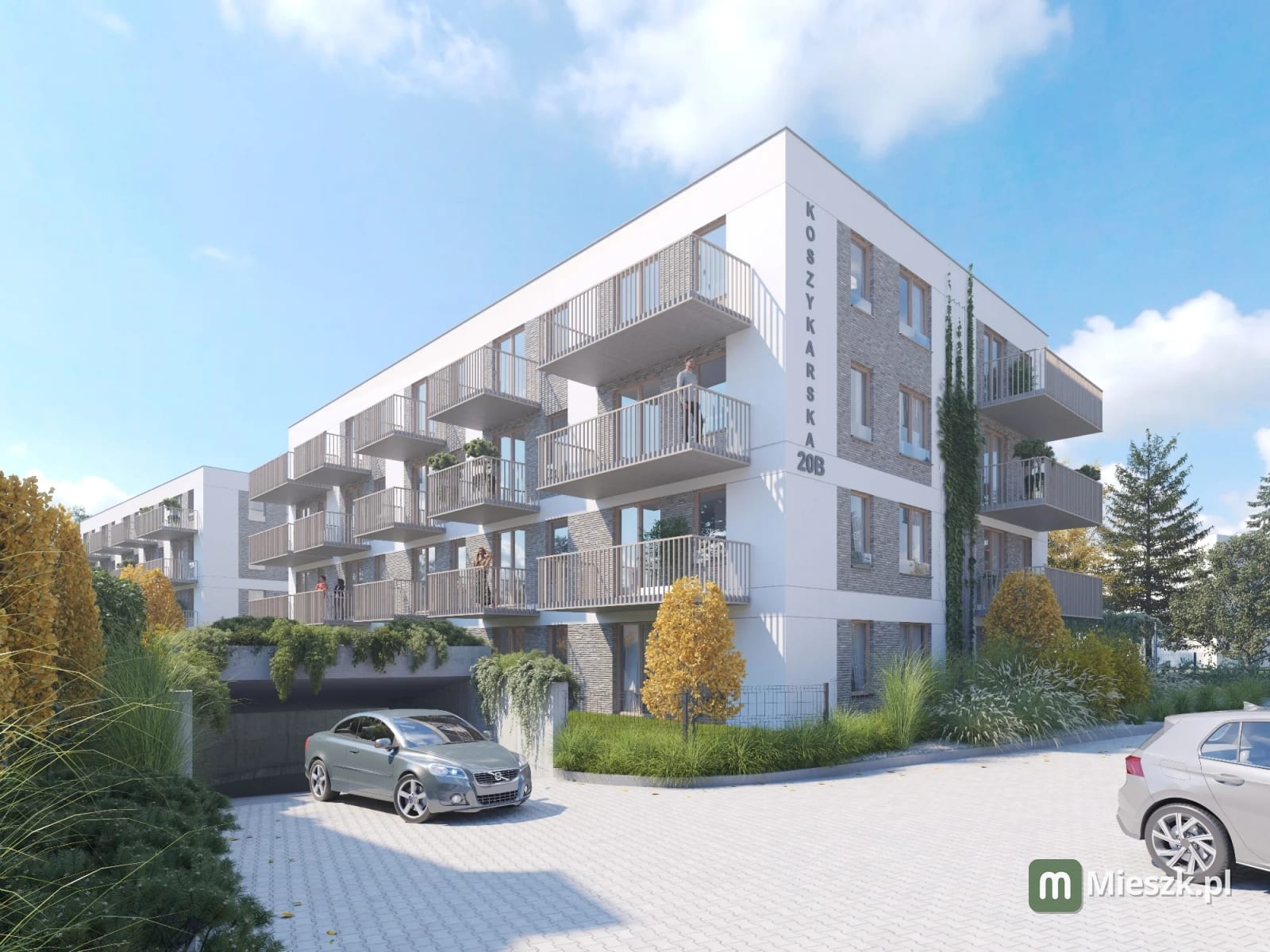 Kameralna Koszykarska — 6