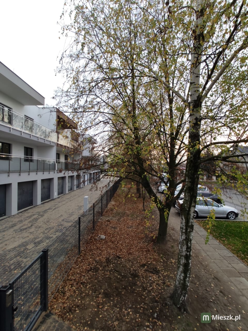 DĄBROWA — 2