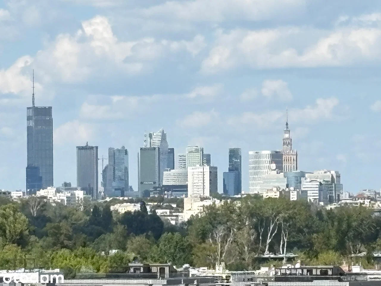 ul. Białej Koniczyny — 8