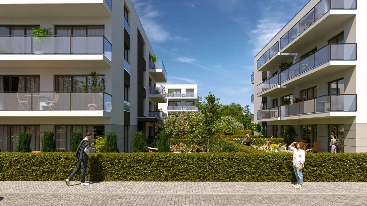 Maków Polnych — 12