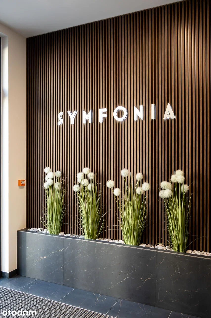 Symfonia — 15