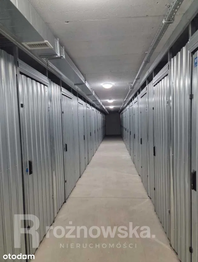 Ekonomiczna — 11