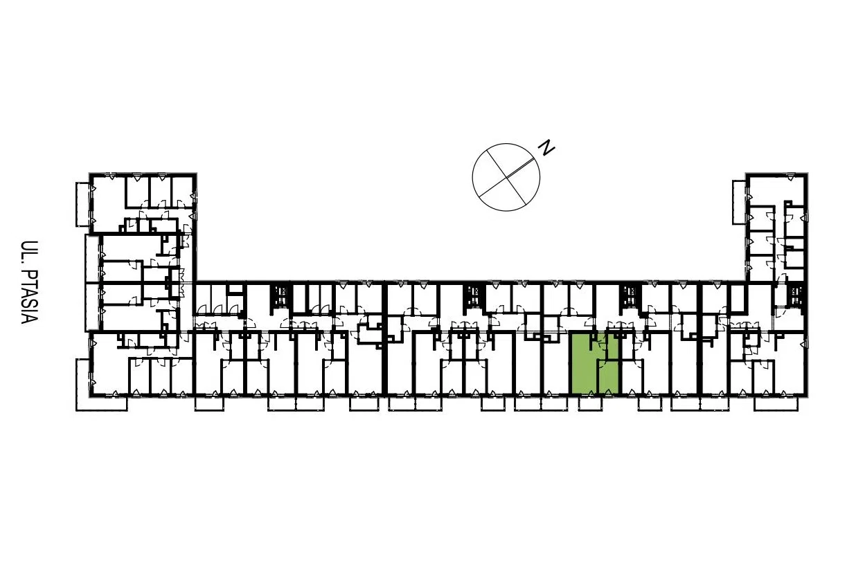 Ptasia — 11