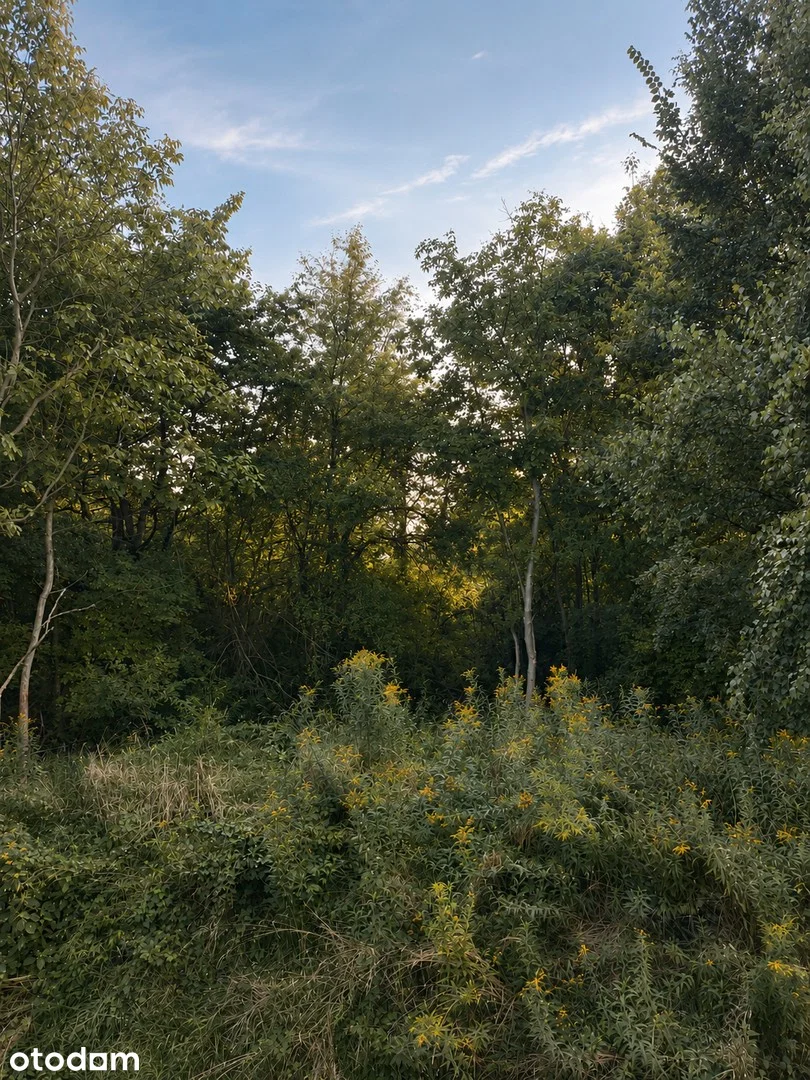 Sołtysowska Widok — 2
