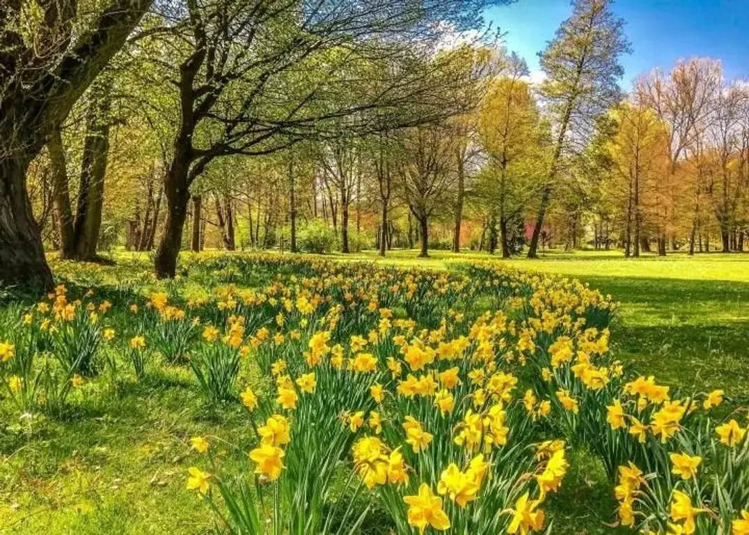 ul. Jana Kantego Federowicza — 11