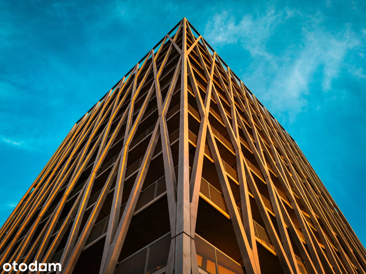Cosmo — 3