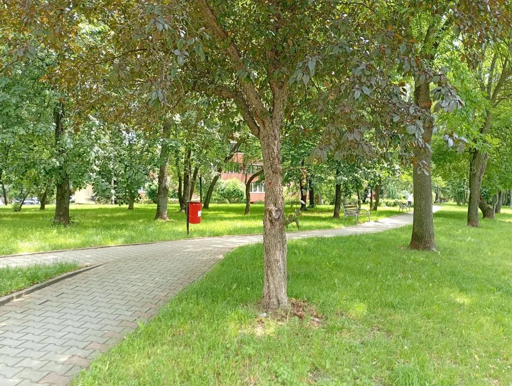 Podedworze — 9