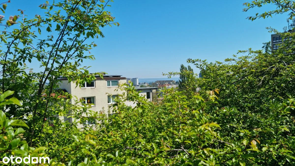 Wolności — 9