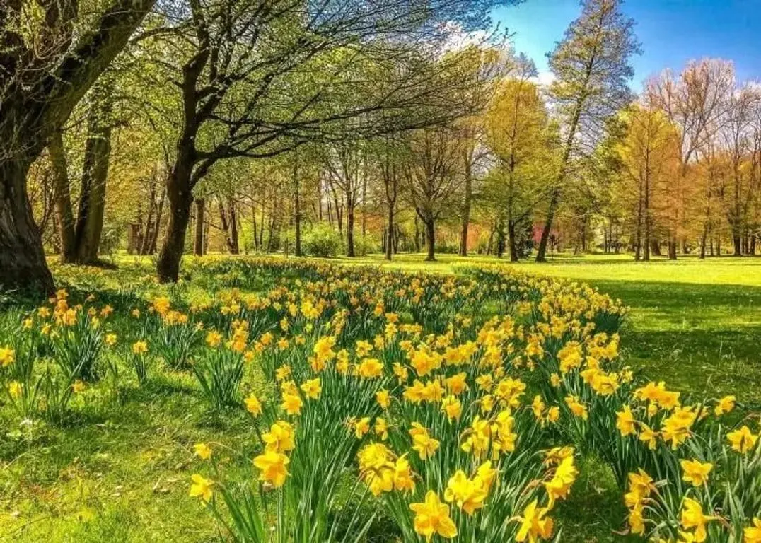 Rudava Park — 10