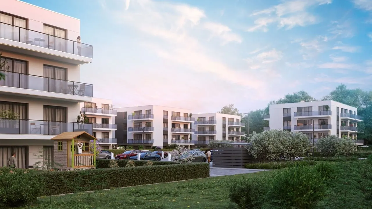 Maków Polnych — 4