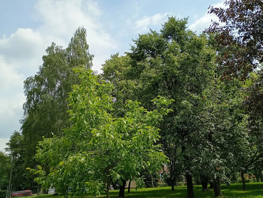 Podedworze 13 — 24
