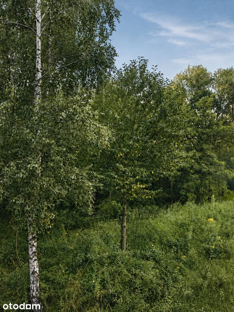 Sołtysowska Widok — 10